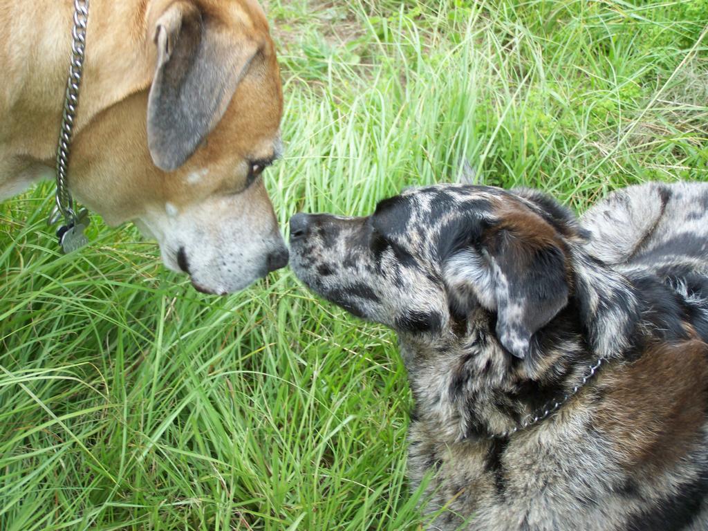 Not A Clue Adventures Tampa FL 33614 8137890904 Camping